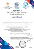 2020г.
СЕРТИФИКАТ
Всероссийская общественная организация содействия развитию профессиональной сферы дошкольного образования *Москва*.
За прохождение курса вебинаров.
2020г.
СЕРТИФИКАТ
Всероссийская общественная организация содействия развитию профессиональной сферы дошкольного образования *Москва*.
За прохождение курса вебинаров.